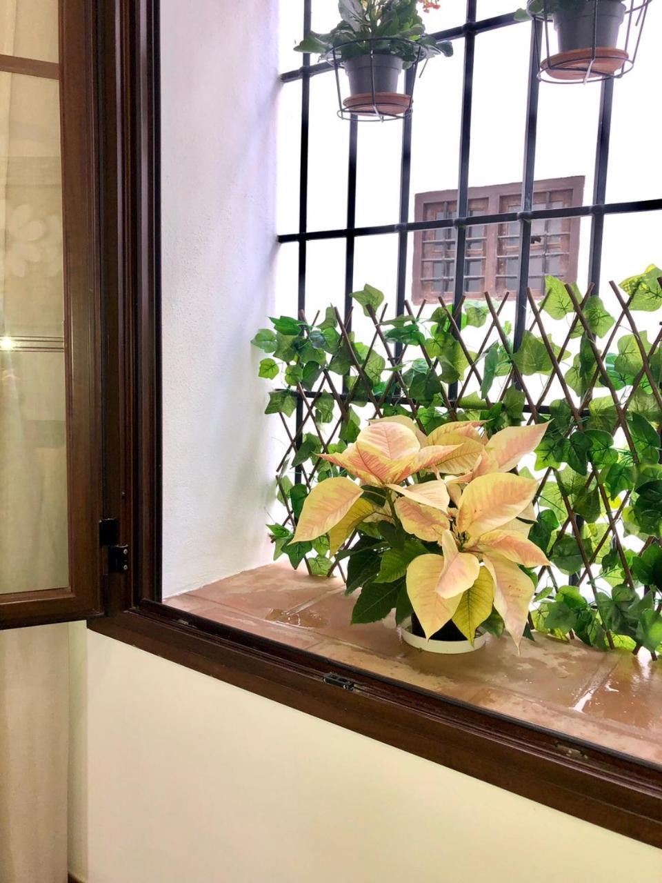 Apartamento El Museo Ecija Luaran gambar
